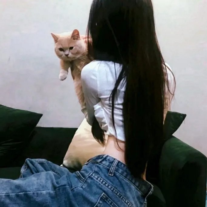 辣手连环计