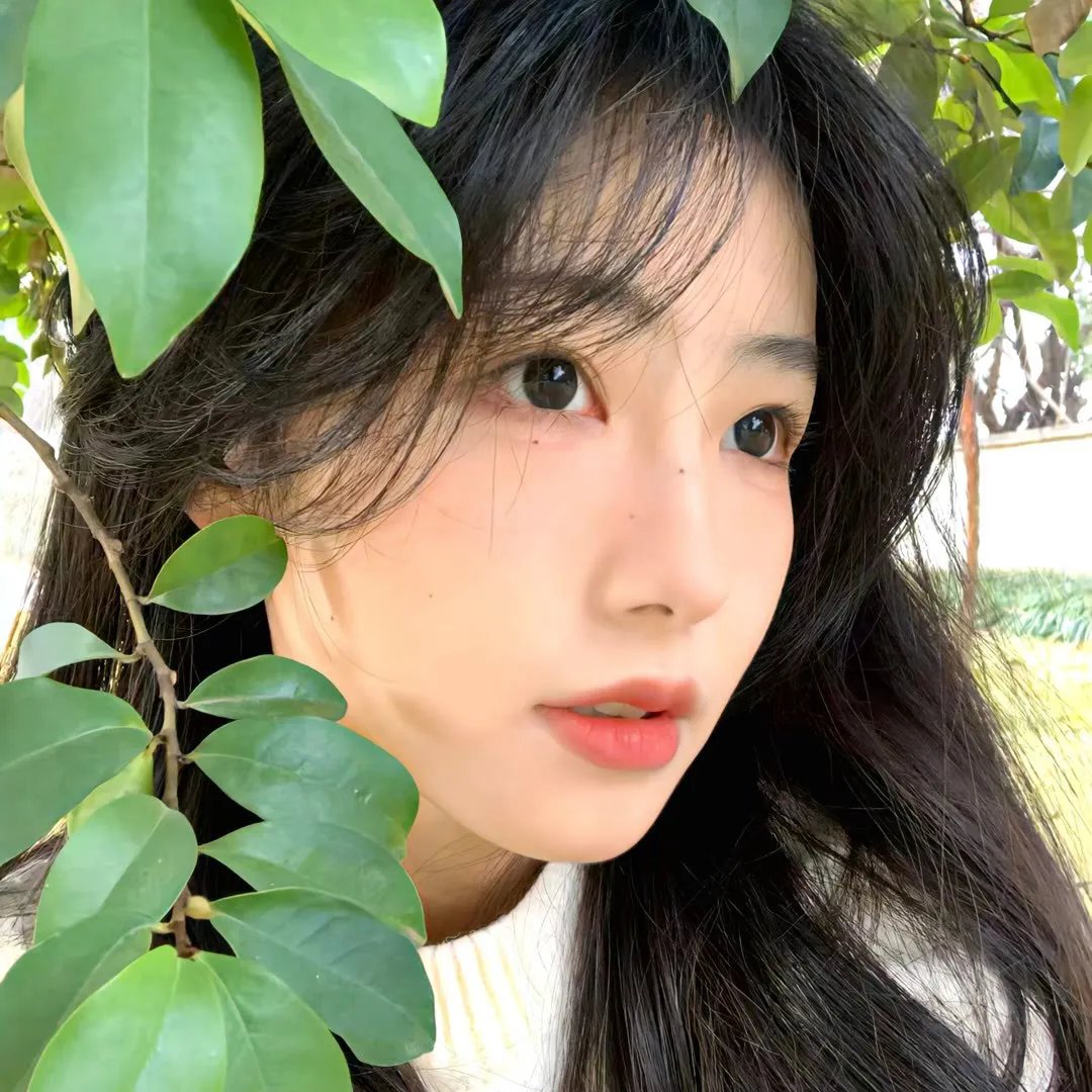 瓢虫少女第三季